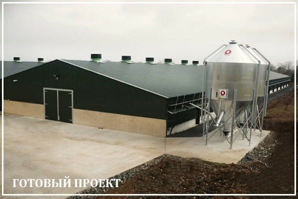 Этапы возведения птицефабрики от завода ВелесТент-тлн